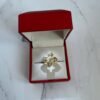 Bague roberto