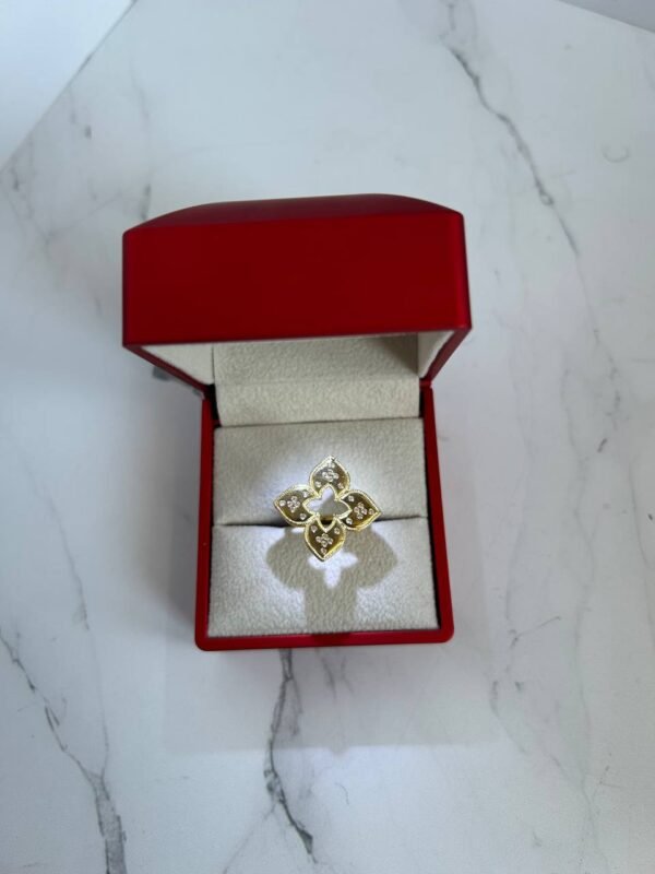 Bague roberto