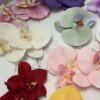 Pince flora
